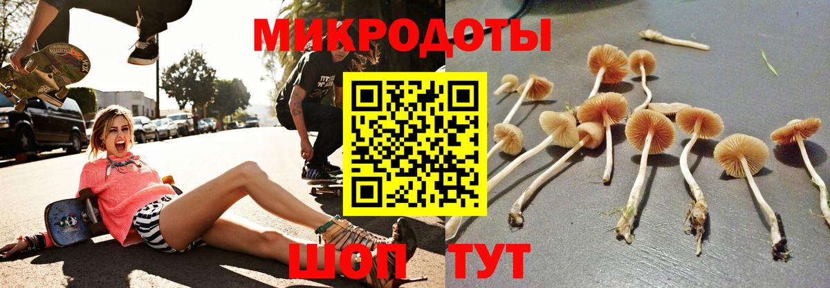 Псилоцибиновые грибы Psilocybine cubensis  наркотики  Истра  Вход с VPN 