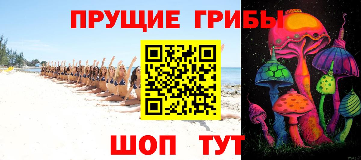 Псилоцибиновые грибы прущие грибы Истра